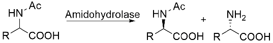 Amidohydrolase