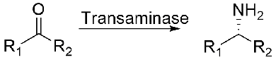 Transaminase